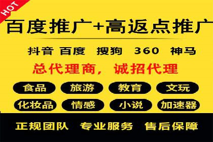 某品牌通过百度竞价提升线上销售业绩的案例